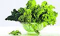 Зелений салат – хрумкий і соковитий