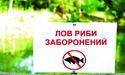 Ловити рибу заборонено: нерестова пора