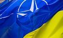 У НАТО працюватимуть над інтеграцією України в Альянс, — глава МЗС Чехії Ліпавський