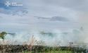 За добу на Львівщині загасили 19 пожеж сухостою, — ДСНС