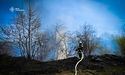 За добу рятувальники Львівщини погасили 16 пожеж сухостою