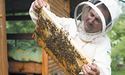Карпатський мед охоче беруть туристи