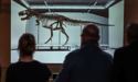 У Швейцарії скелет тиранозавра продали на аукціоні за $ 6 мільйонів
