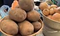 Навесні картопля може коштувати 35 гривень, її возитимуть з Польщі та Єгипту