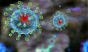 Що потрібно знати про коронавірус: групи ризику, способи зараження, симптоми, лікування