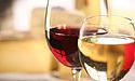 Червоне вино проти ожиріння, біле – проти остеопорозу