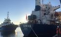 Ще дев’ять суден із зерном вирушили із українських портів