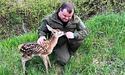 У гармонії з мешканцями лісу: на Житомирщині лісівники врятували оленятко