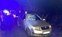 У Львівському районі водій «Skoda Fabia» збив двох людей: деталі смертельної ДТП