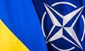 НАТО розширює співпрацю з Україною