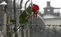 Сьогодні Міжнародний день пам'яті жертв Голокосту