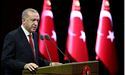 Ердоган анонсував телефонні розмови зі Зеленським та путіним