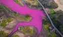 На Гаваях озеро раптово стало яскраво-рожевого кольору (ФОТО)