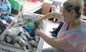 За час війни у міських пологових Львова народилося 3723 немовлят