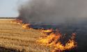 Уперше в Україні: чоловік із Львівщини заплатить компенсацію через випалювання трави