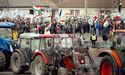 Фермери Угорщини протестують на кордоні із Україною