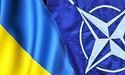 Генсек: НАТО підтримує вступ України, але перше потрібно виграти війну