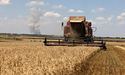 У ЄС проти продовження заборони імпорту агропродукції із України, — ЗМІ