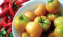 Пікантні «хрусткі» помідори