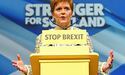 «Незалежна Шотландія досить швидко вступить у ЄС»