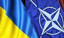 Заявку України в НАТО треба розглядати так само швидко, як заявки Швеції й Фінляндії, – віцепрем’єрка