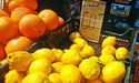 «Кислі» ціни іспанських лимонів