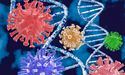 Коли зникають антитіла до коронавірусу: нове дослідження