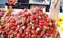 Закарпатська полуниця – 30 гривень!
