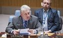В Україні цьогоріч з’явиться «посол ООН», — Єльченко