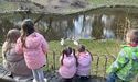 Лебедів випустили в озеро Стрийського парку