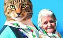 Автор бабусі з котом готується до... президентських виборів