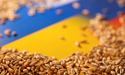 Україна може експортувати зерно через Польщу та Румунію