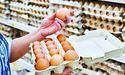 Осінні ціни на яйця й «молочку» не тішать…