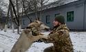 За Україну “друг Да Вінчі” воює із вовчою хваткою