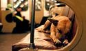 У столиці можуть дозволити перевезення собак у метро