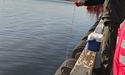 У морському порту Миколаєва затонуло судно