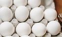 В Україні ціни на курячі яйця майже не зростають