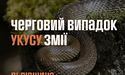 На Львівщині жінка потрапила в реанімацію через укус змії