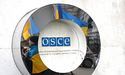 ОБСЄ: "Вибори в Україні визнають легітимними"