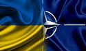 12 липня уперше збереться Рада Україна-НАТО