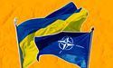 Україна повинна здійснити реформи для вступу у НАТО, — Білий дім