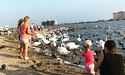 Російські туристи в Криму – «цивілізовані дикуни»