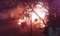 У Києві в притулку згоріли десятки котиків