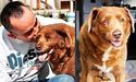 Помер найстарший собака у світі
