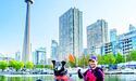 У Торонто може з’явитися «собачий» мер