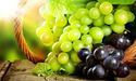 Виноград – і ласощі, і ліки