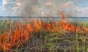 В Яворівському районі вогонь знищив суху траву та чагарник на площі 500 м²