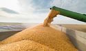 ЄС запровадить мита на імпорт російського зерна