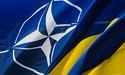 Країни-члени НАТО наполягають на прискореному вступі України, — Полторак