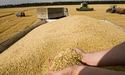 Грузія заборонила експорт зерна через війну в Україні